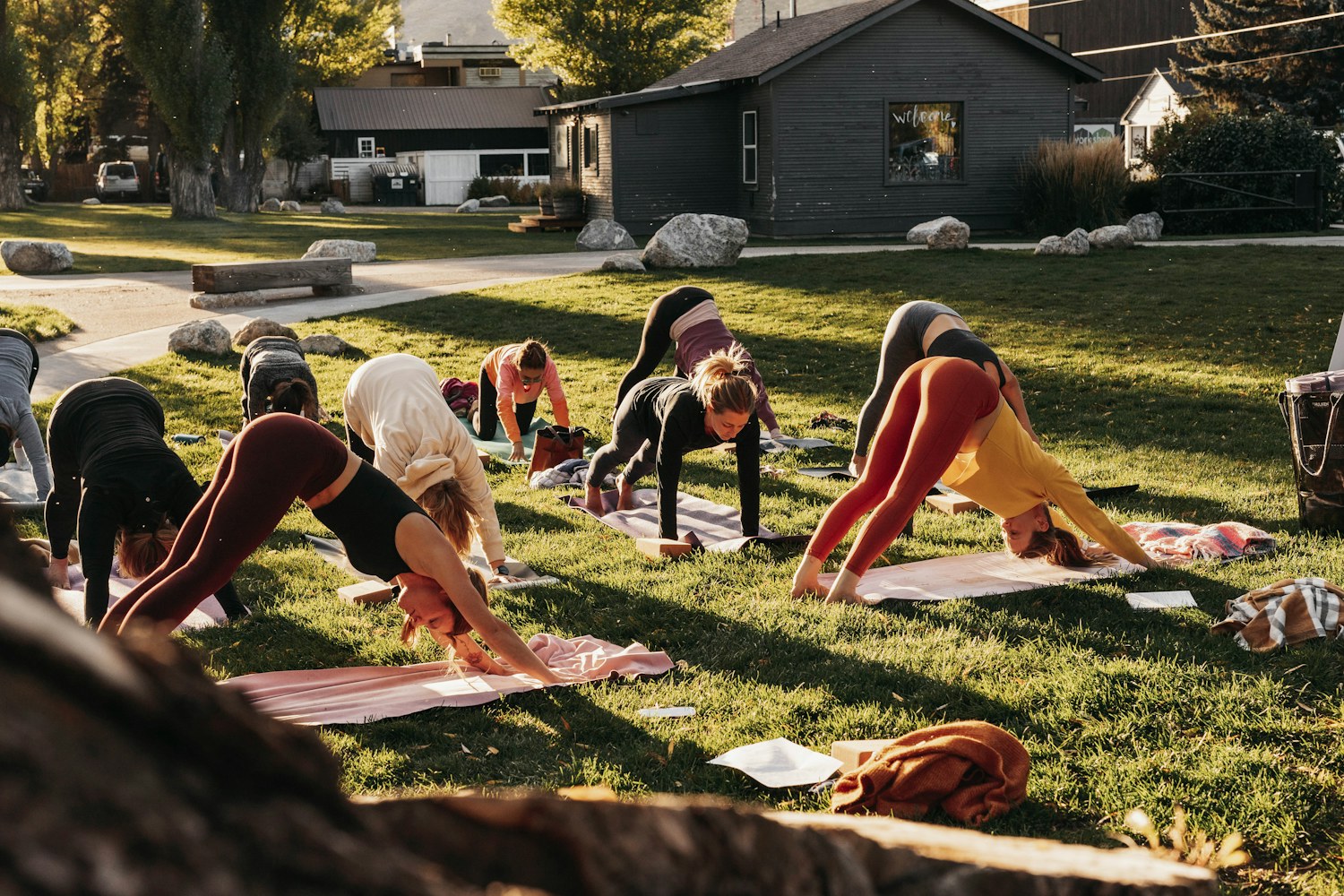A group practising yoga outdoors together on a sunlit lawn